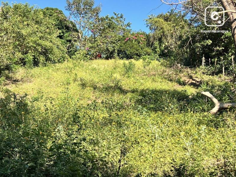 House for sale in Managua – 972 m²