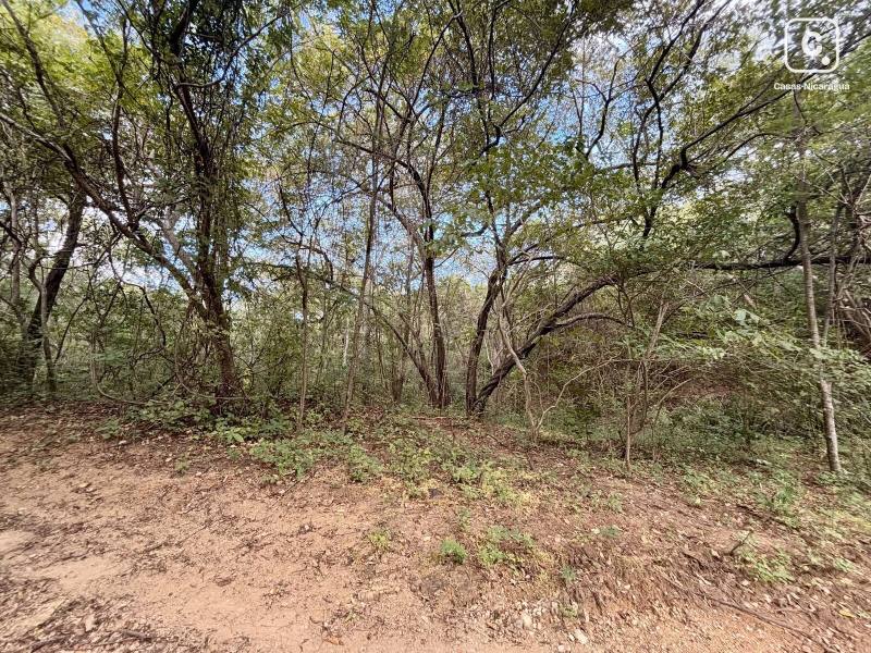 Casa en venta en Rivas – 28,240 m²
