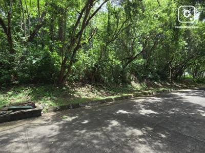 Lot for sale in Managua – 7,051 m²