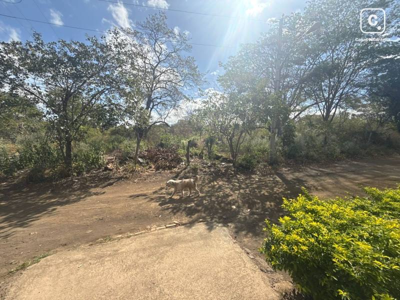 Lot for sale in Carretera Vieja a León, Managua – 217 m²