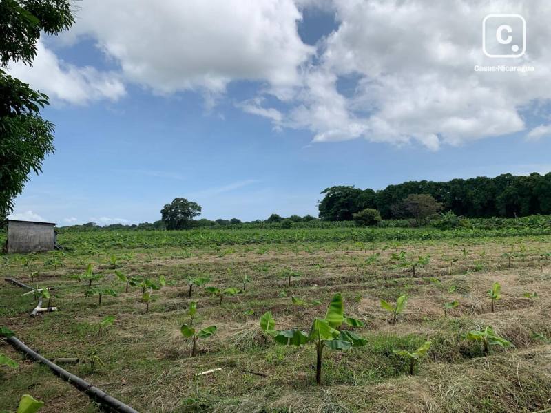Casa en venta en Rivas – 41,099 m²