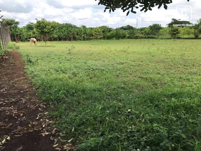 Terreno en alquiler en Managua – 7,056 m²