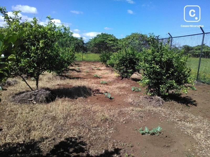 Lot for rent in Managua – 7,056 m²