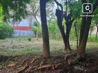 House for sale in Managua – 276 m²