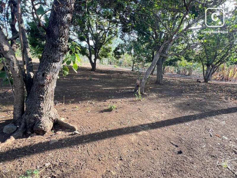 House for sale in Managua
