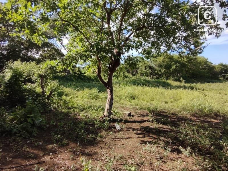 Lot for sale in Carretera Sur, Managua – 7,050 m²