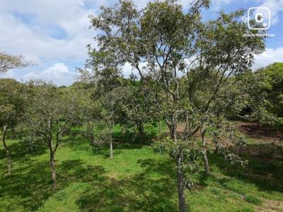 Casa en venta en Jinotepe, Carazo