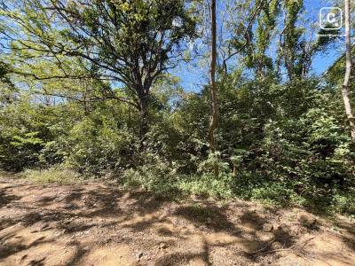Lot for sale in Rivas – 29,245 m²