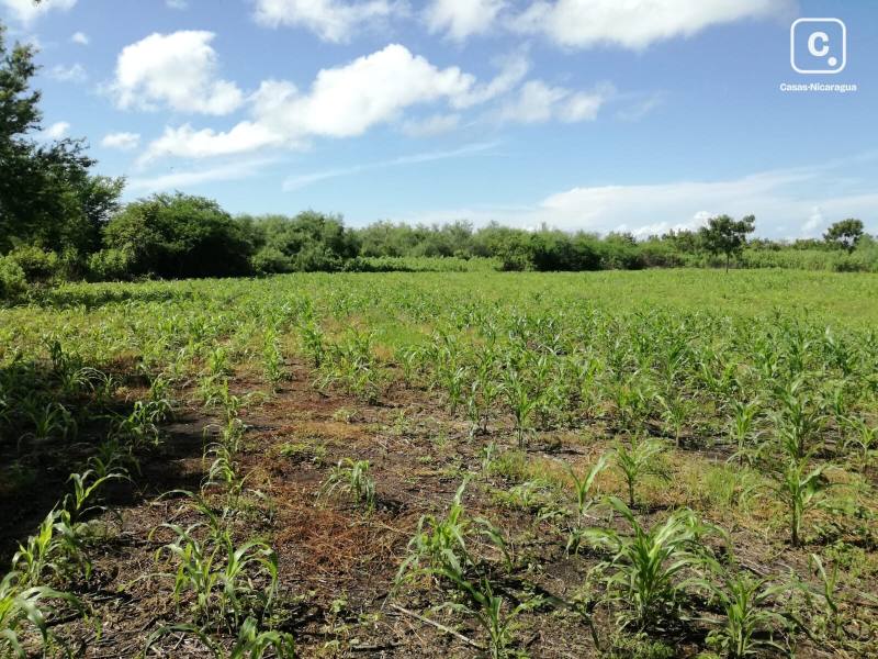 Casa en venta en Managua – 621,878 m²