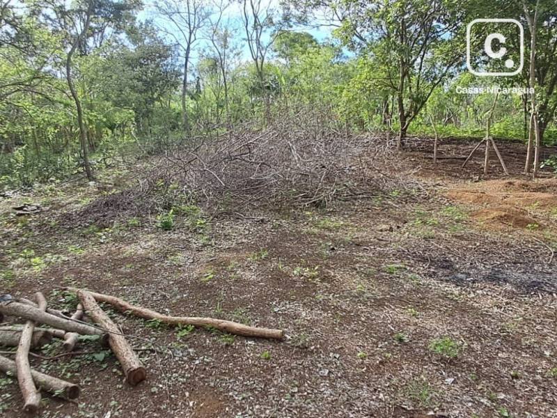 House for sale in Masaya