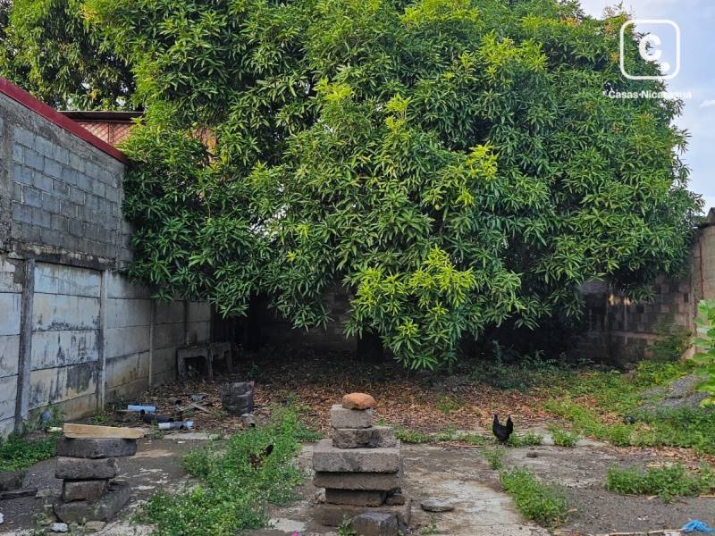 Lot for sale in Managua – 195 m²