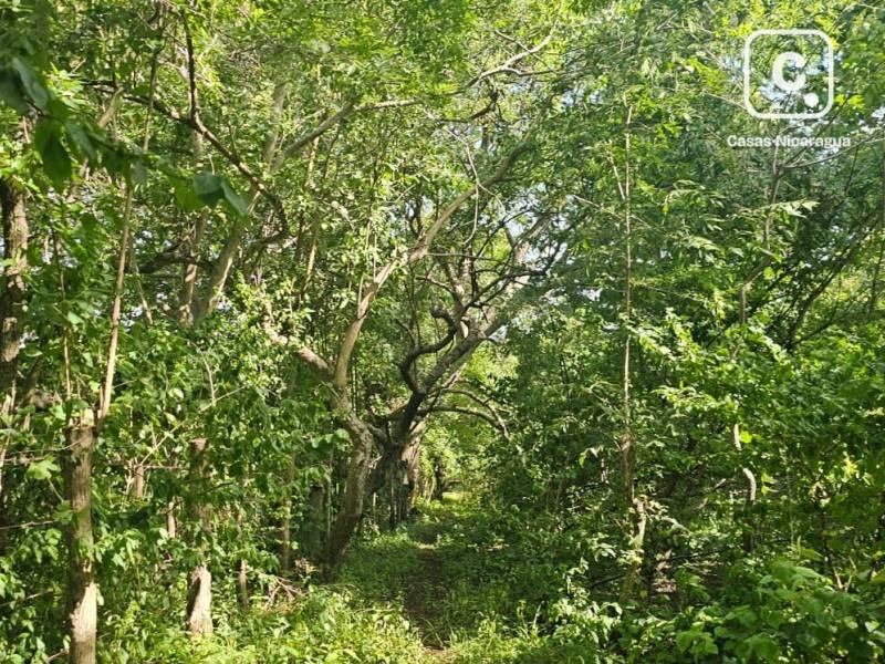 Terreno en venta en Granada – 615,621,383 varas²