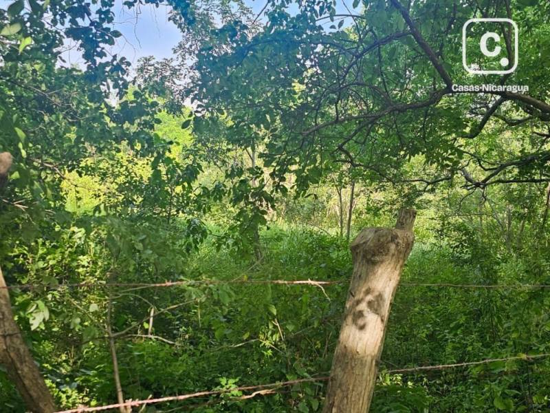 Terreno en venta en Granada – 615,621,383 varas²
