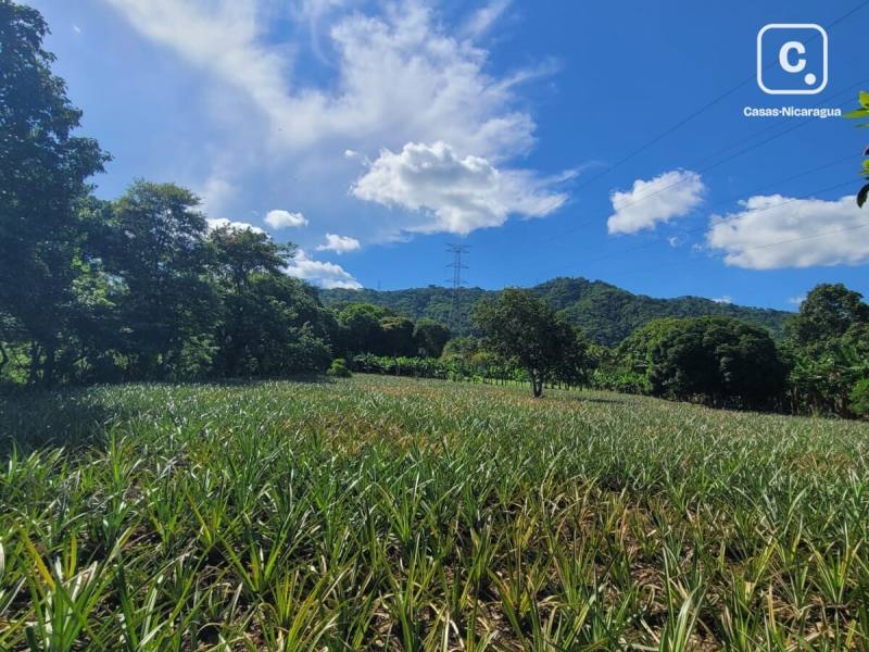 Casa en venta en Managua