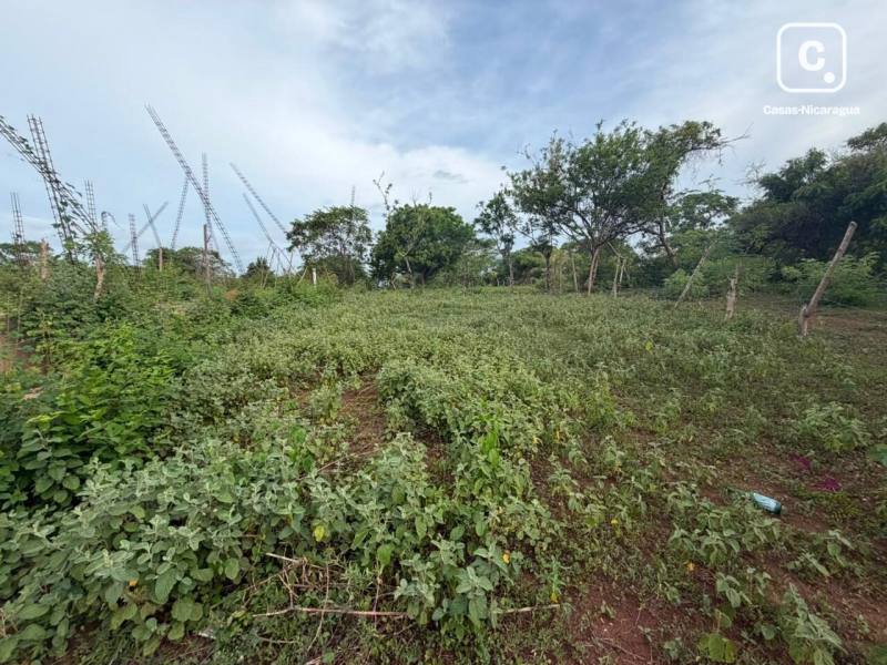 Lot for sale in Granada – 190 m²