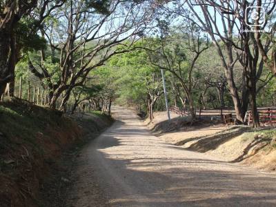 Farm for sale in San Juan del Sur, Rivas – 1,216 varas²