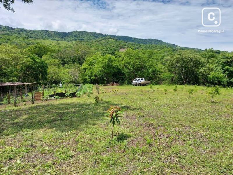 Finca en venta en El Remanso, Rivas – 31,565 m²
