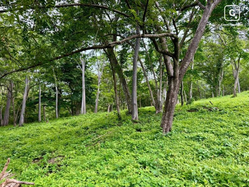 Lot for sale in San Juan del Sur, Rivas – 1,375 m²