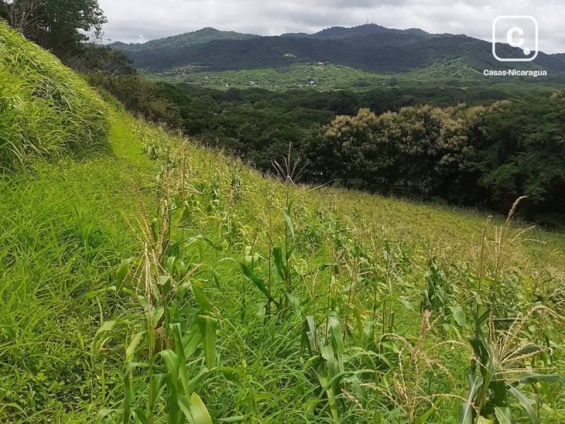 Finca en venta en San Juan del Sur, Rivas – 40 m²