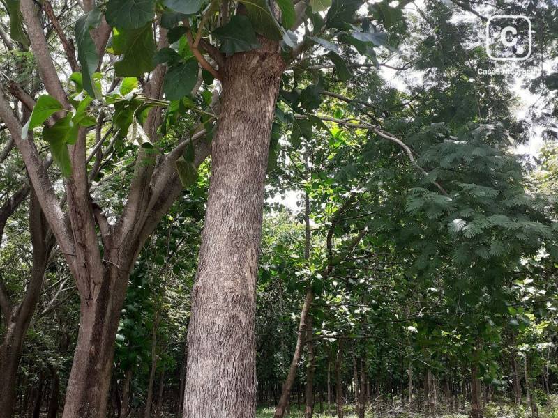 Finca en venta en San Juan del Sur, Rivas – 40 m²