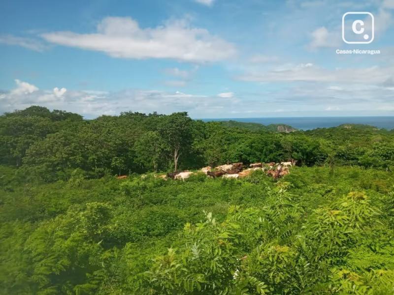 Lot for sale in San Juan del Sur, Rivas – 1,295 m²