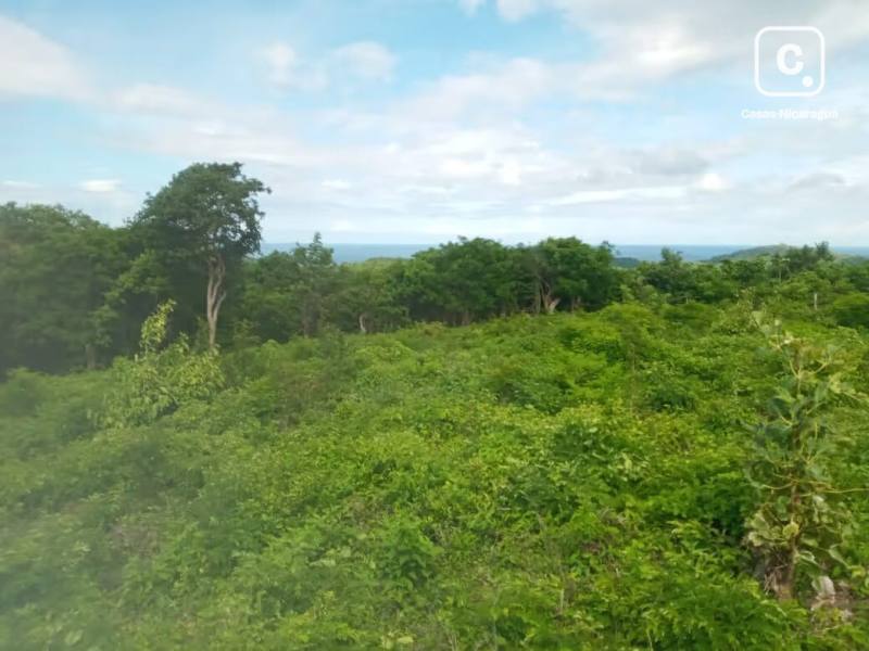 Lot for sale in San Juan del Sur, Rivas – 1,295 m²