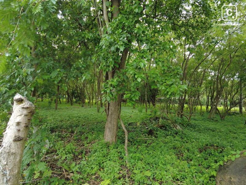 Terreno en venta en El Remanso, Rivas – 1,133 m², US$ 68,000
