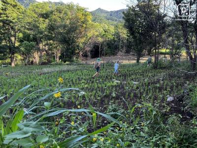 Farm for sale in San Juan del Sur, Rivas – 12,140 m²