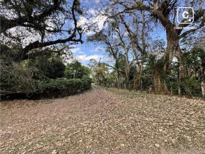 Finca en venta en San Ramon, Matagalpa – 200 hectáreas