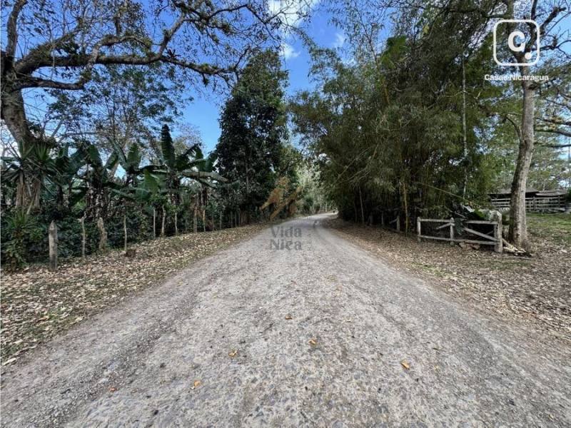 Finca en venta en San Ramon, Matagalpa – 200 m²