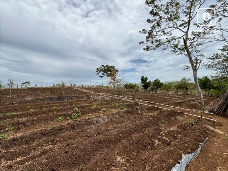 Finca en venta en Diriamba, Carazo – 200,000 varas²