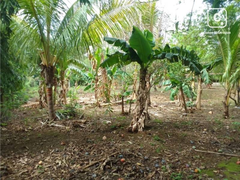 Finca en venta en Nindirí, Masaya – 1 hab, 1,871 m²