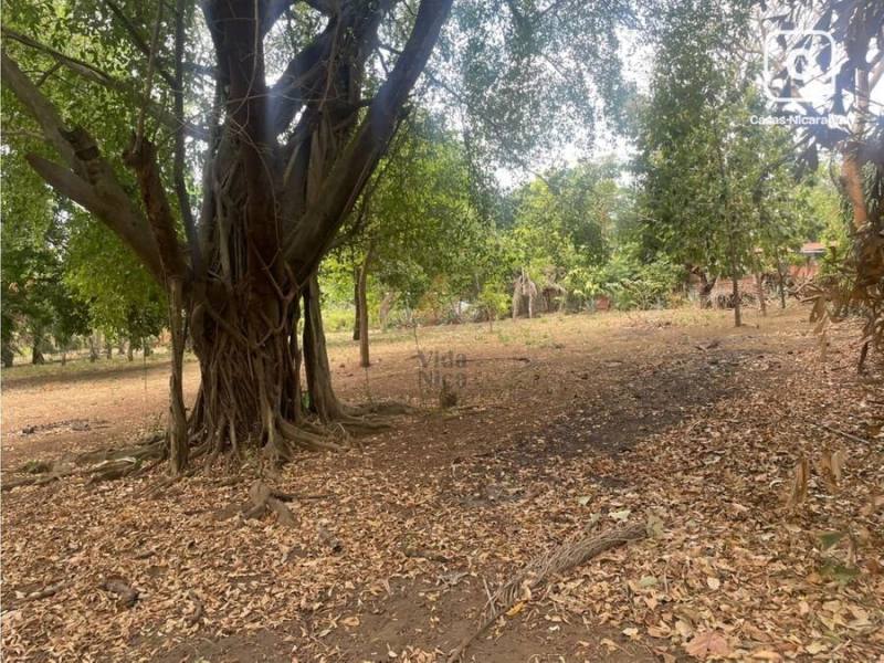 Lot for sale in Carretera Vieja a León, Managua – 3,222 m²