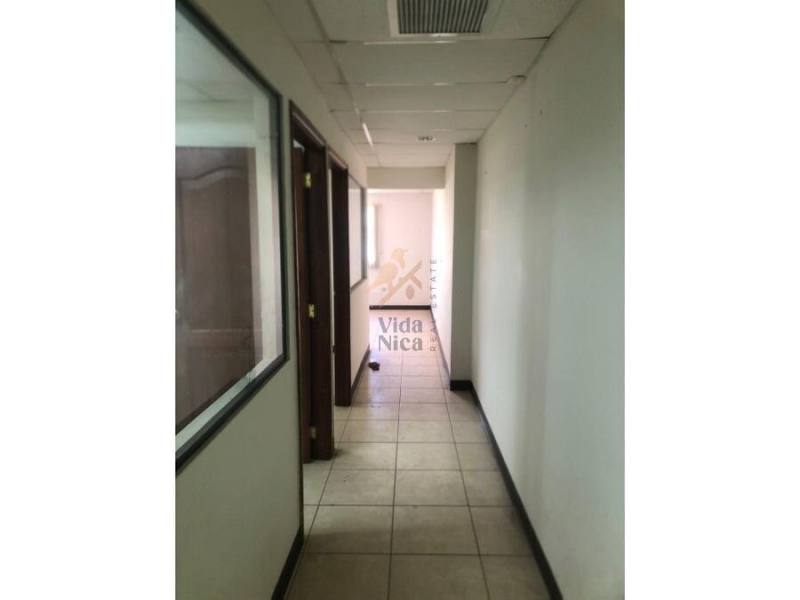 Local comercial en alquiler en Planes de Altamira, Managua – 80 m², US$ 1,104/mes