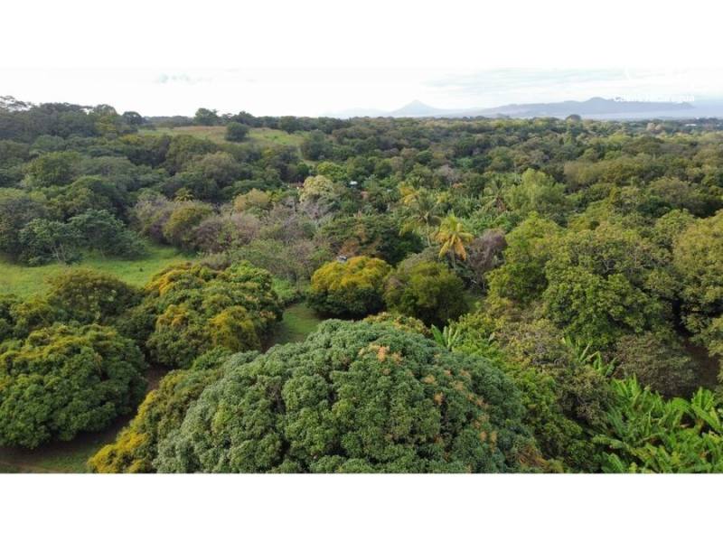 Lot for sale in San Isidro de la Cruz Verde, Managua – 31,441 m²