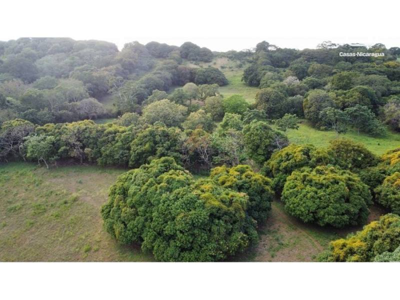 Lot for sale in San Isidro de la Cruz Verde, Managua – 31,441 m²