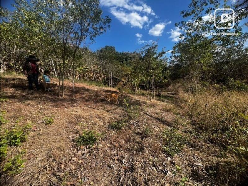 Lot for sale in Suburbana, Managua – 5,938 m²