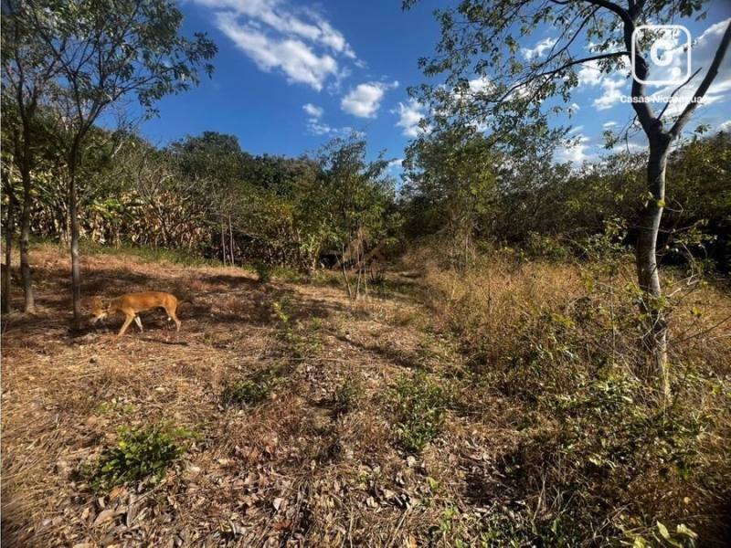 Lot for sale in Suburbana, Managua – 5,938 m²