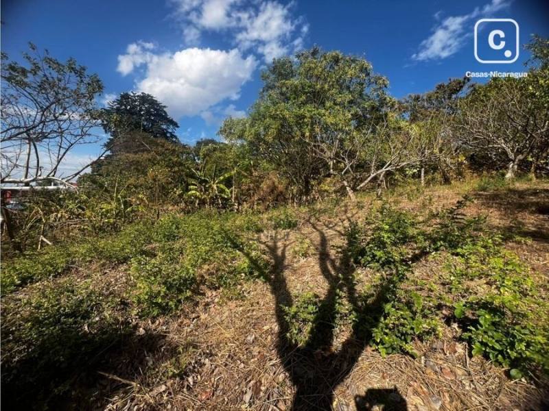 Lot for sale in Suburbana, Managua – 5,938 m²