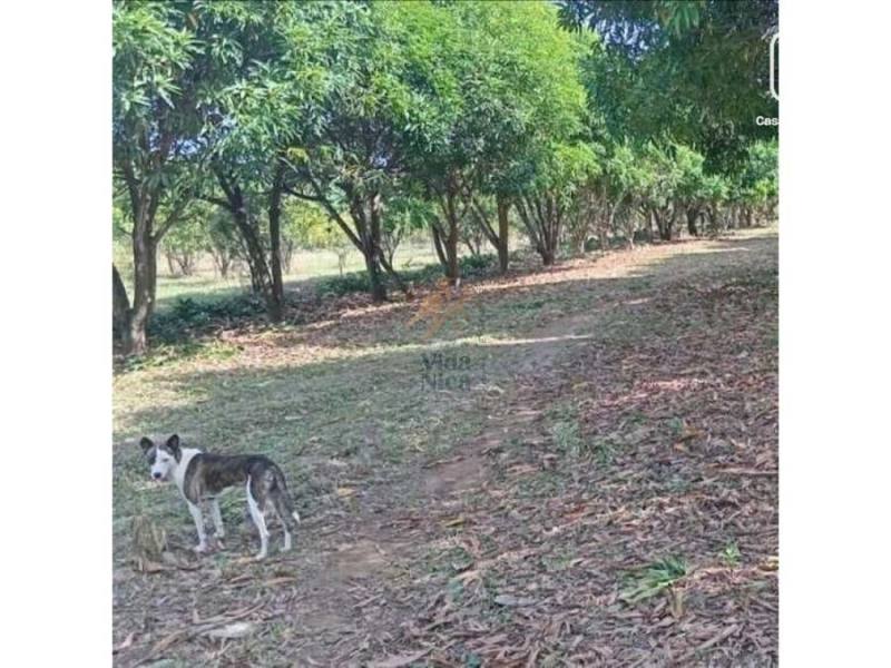 Finca en venta en Nindirí, Masaya – 49,000 m²