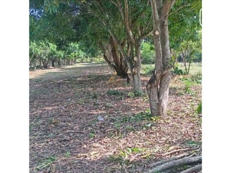 Finca en venta en Nindirí, Masaya – 49,000 m²
