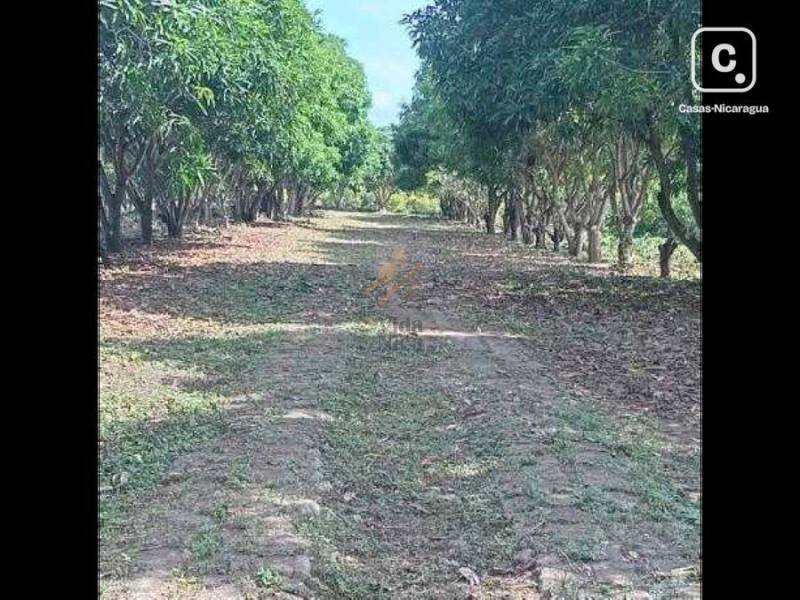 Farm for sale in Nindirí, Masaya – 49,000 m²