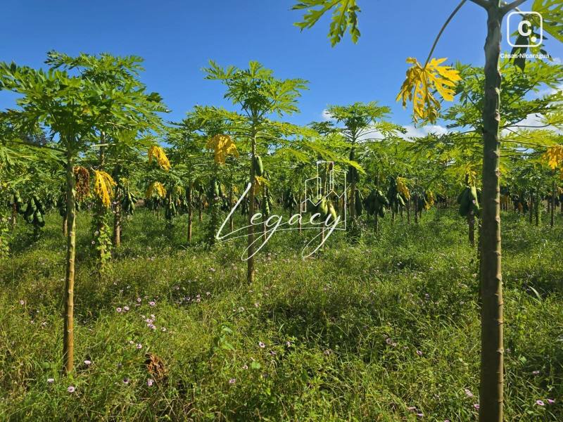 House for sale in Tipitapa, Managua
