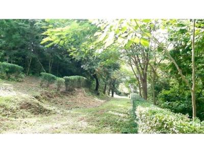 Farm for sale in Managua – 2 beds, 14 m²