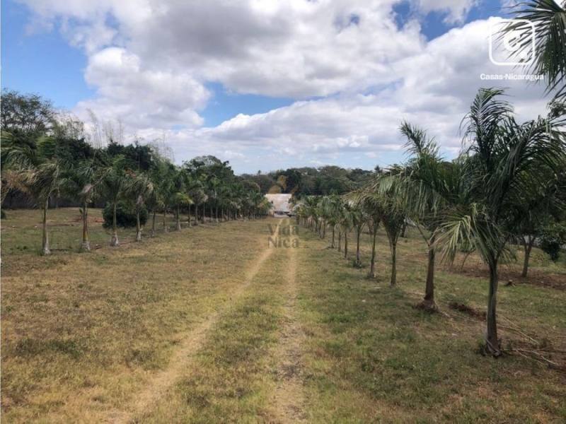 Terreno en venta en Santo Domingo, Managua – 12,135 m²