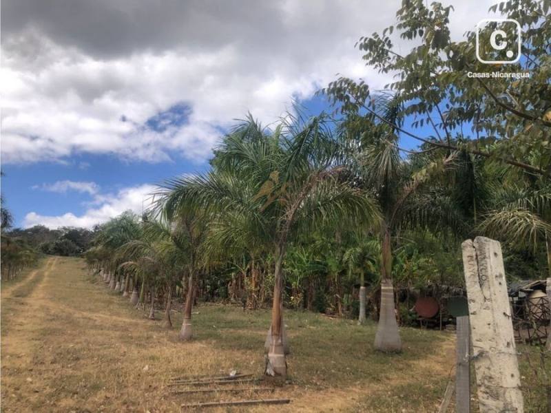Terreno en venta en Santo Domingo, Managua – 12,135 m²