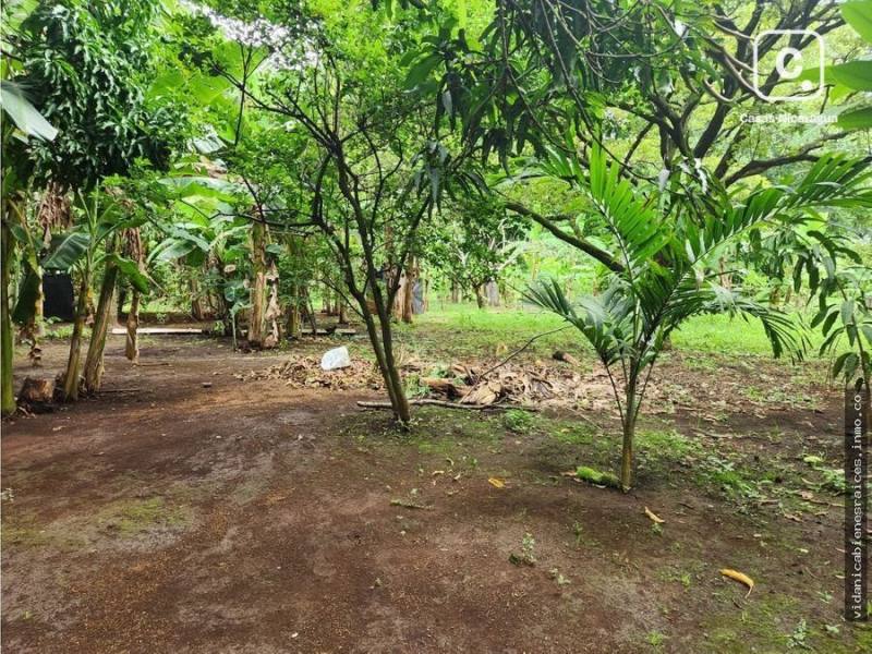 Farm for sale in Nindirí, Masaya – 28,200 m²