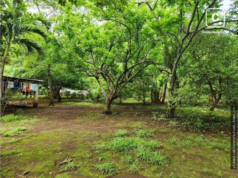 Farm for sale in Nindirí, Masaya – 28,200 m²