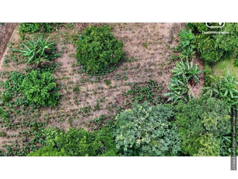 Farm for sale in Masatepe, Masaya – 23,593 varas²