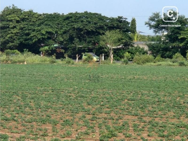 Lot for sale in Managua – 155,102 m²